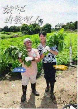 啊啊啊啊视频 旧物改造局 综艺封面